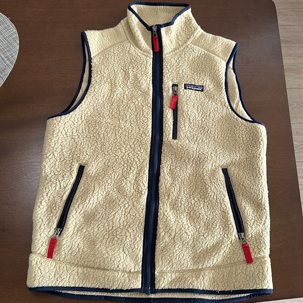 Patagonia Men’s Retro Pile Vest